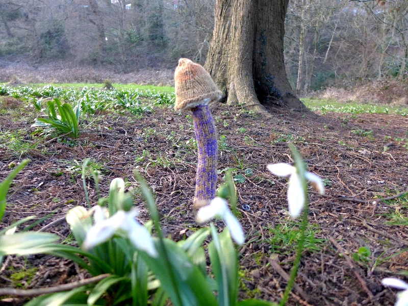 Mushroom and snowdrops 3